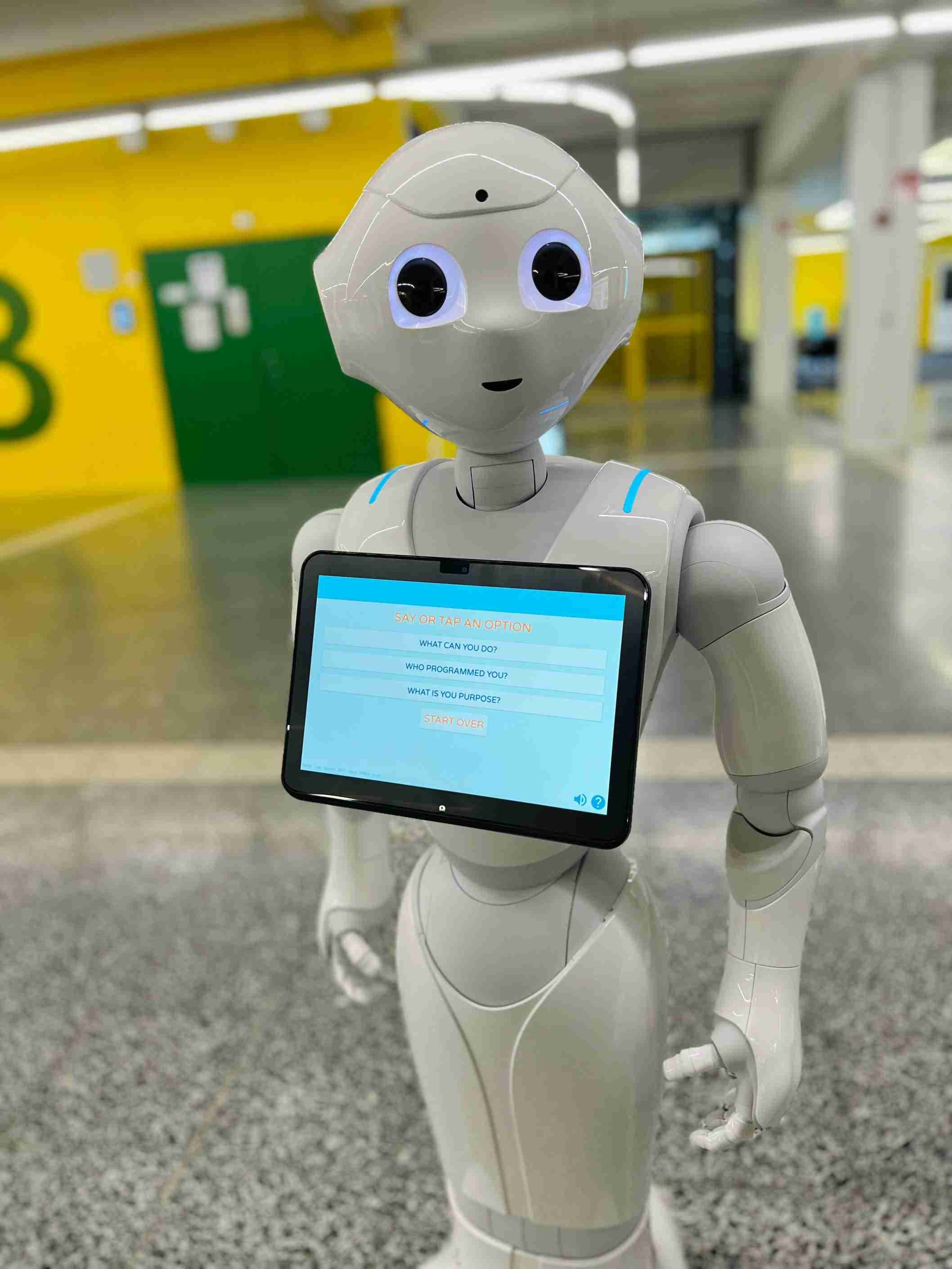Humanoid Social Robot